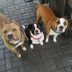 Meet your Posher, Jamie